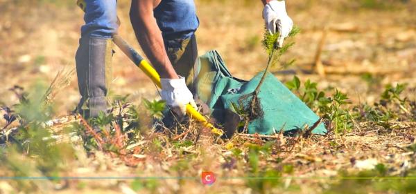 Quand le film corporate rejoint le documentaire : démonstration